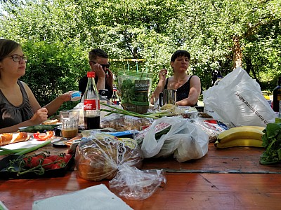 2017-07-29_11-53-19.jpg 2017-07-29_11-53-19.jpg